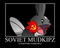 I Herd U Like Mudkips