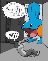 I Herd U Like Mudkips