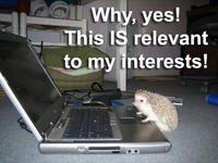 This is Relevant to My Interest