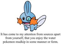 I Herd U Like Mudkips