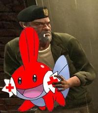 I Herd U Like Mudkips