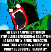 Shoop Da Whoop / I’M A’ FIRIN’ MAH LAZER!!