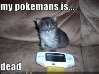 My Pokemans, Let Me Show You Them