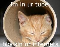 Series of Tubes