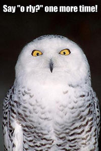 O RLY?
