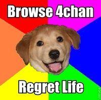 Advice Dog