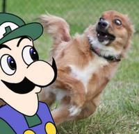 Weegee