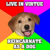 Advice Dog