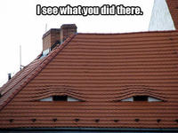 I See What You Did There