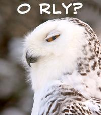 O RLY?