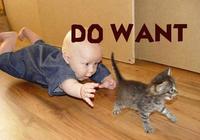 Do Want / Do Not Want