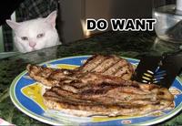 Do Want / Do Not Want