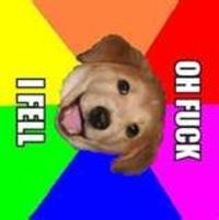 Advice Dog