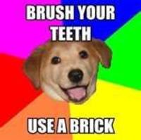 Advice Dog