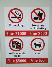 A cat is fine too....