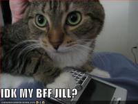 IDK My BFF Jill