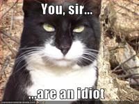 You, sir, are and idiot