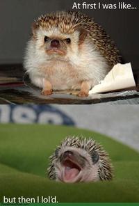 At First I Was Like...