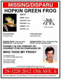 Hopkin Green Frog