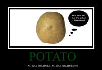 No_Gay_Potatoes.jpg