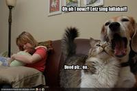 LOLcats