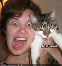 LOLcats