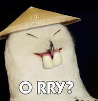 O RLY?