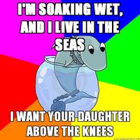 Rhyming pet Shark