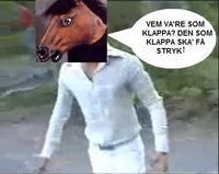 Snel hest