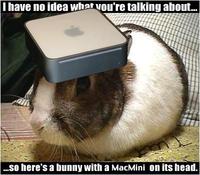 Macbunny