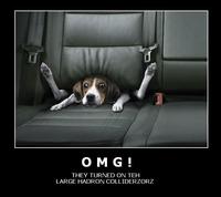 Large Hadron Collider