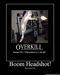 Boom Headshot!