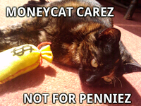 LOLcats