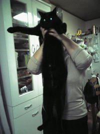 Longcat