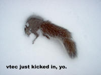 VTEC just kicked in, yo!