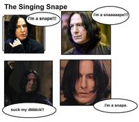 The Singing Shark