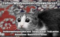 LOLcats