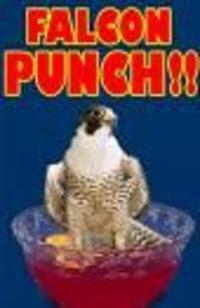Falcon_punch_literal20110724-22047-awlnpn