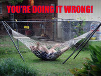Hammock
