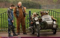 Wtf-pics-bear-riders