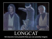 Longcat