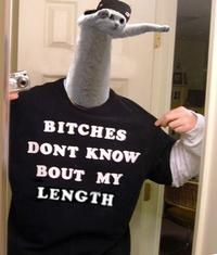 Longcat