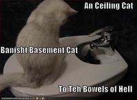 Ceiling Cat