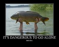 It's Dangerous to Go Alone! Take This