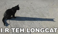 Longcat
