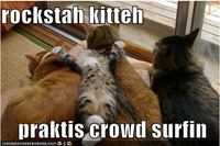 LOLcats