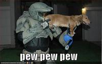 Pew Pew