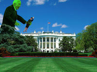 Zombie McCain