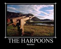 Man The Harpoons