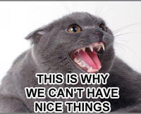 LOLcats